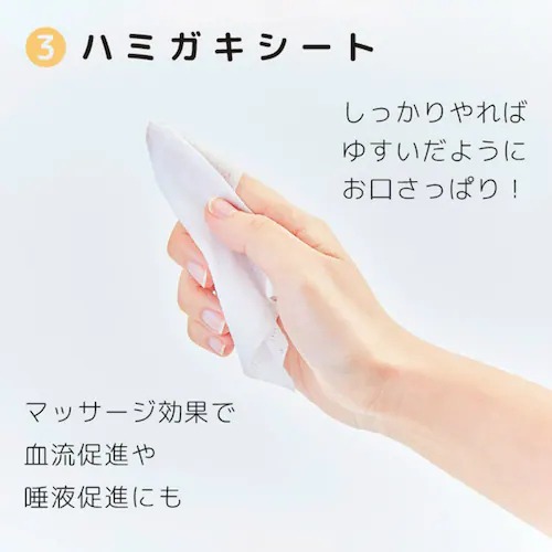 ヤマトエスロン 無水ハミガキセット 【プラザセレクト】_6