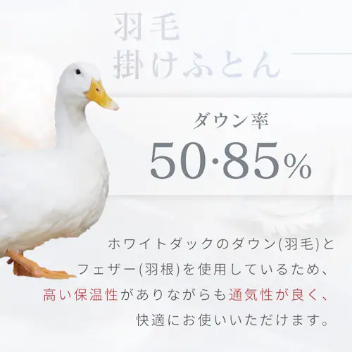 羽毛50%3点セット アイボリー・ホワイト 【代引不可】【同梱不可】【プラザセレクト】_3