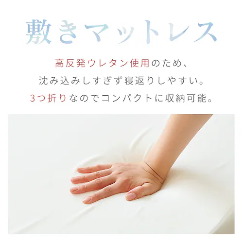 羽毛50%3点セット アイボリー・ホワイト 【代引不可】【同梱不可】【プラザセレクト】_5