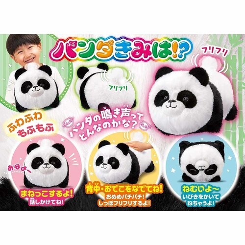 �A�K�c�} �p���_���݂́I�H_5