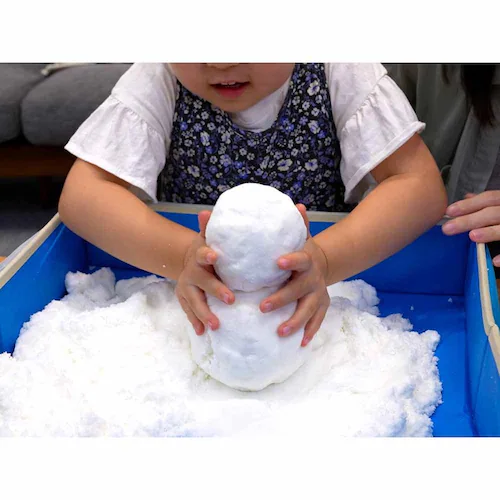 あおぞら スノーアットホーム 雪だるま SN-01 【プラザセレクト】_3