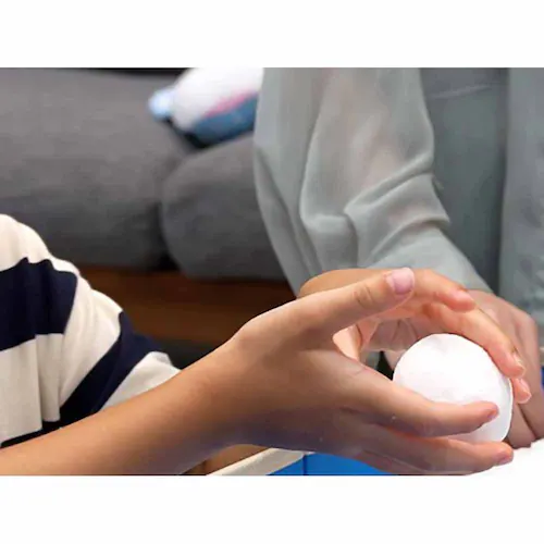 あおぞら スノーアットホーム 雪だるま SN-01 【プラザセレクト】_5