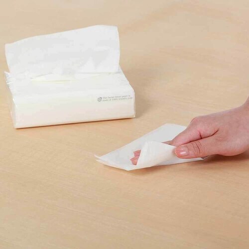 アスト 【5個セット】アストソフトパックてんとう虫(タンポポ)200W10P 112036 【プラザセレクト】_5