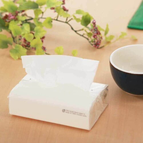 アスト 【5個セット】アストソフトパックてんとう虫(タンポポ)200W10P 112036 【プラザセレクト】_6