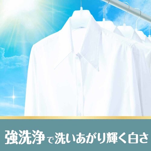 P&GWp {[hWF zCgeB[t[̍ { yvUZNgz_6