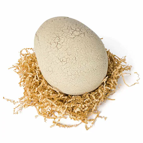 うまれて!ウーモ ジュラシック・ワールド T-レックスエッグ_4