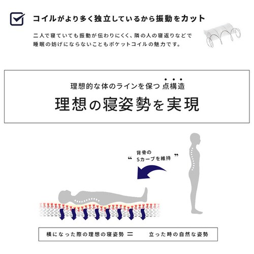 �}�b�g���XEXE-250 S �y���Ԏw��s�z�y����s�z�y�����s�z�y�v���U�Z���N�g�z_4