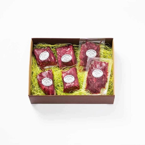 y10OFFIzytW`Nzӂnh Ԑg\Zbg 2511 _2