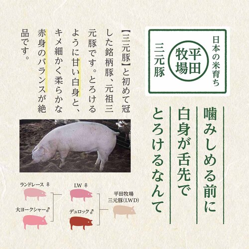 y7OFFIzycqzcqn\[Z[WlZbg CHK23-1_21