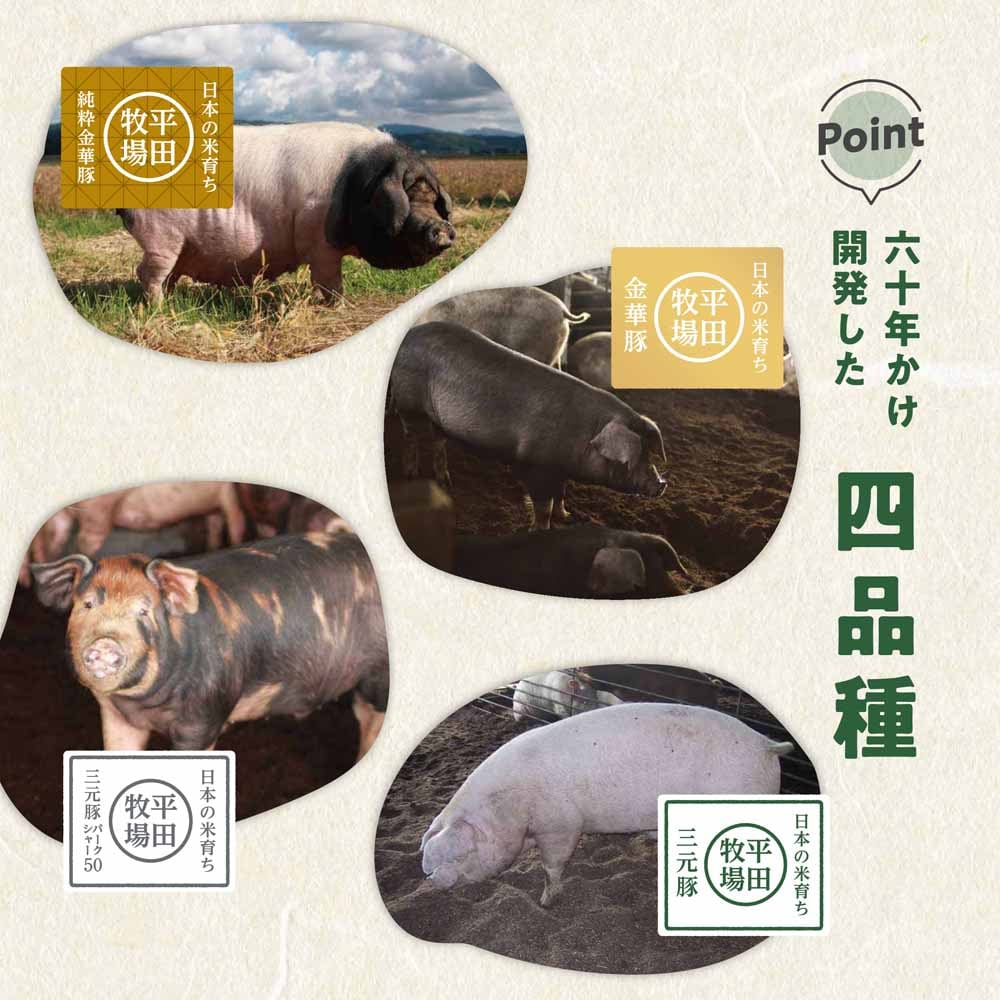 9％OFF！】【平田牧場】日本の米育ち金華豚・三元豚 肩ロース特製味噌