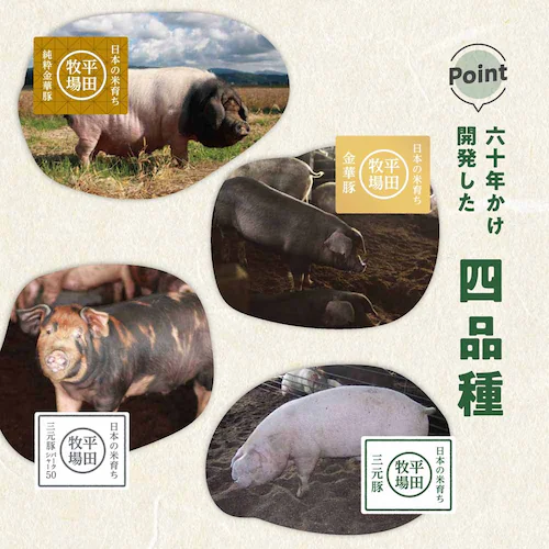 【6%OFF!】【平田牧場】日本の米育ち三元豚 炭火焼ハンバーグギフト BCS25-1_16