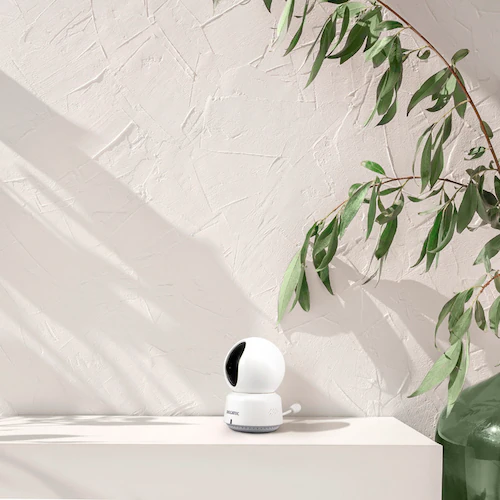 DXAei ݂܂J CNW3CPB1 yvUZNgz_7