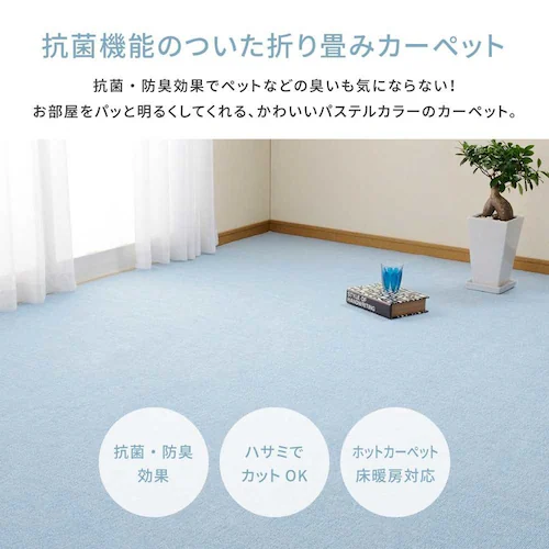 ループパイルの平織カーペット ミーテ 江戸間3畳 600016230 ブルー【時間指定不可】【代引不可】【同梱不可】【プラザセレクト】_4