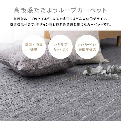 立体織の平織カーペット メテオ 江戸間6畳 600021060 ベージュ【時間指定不可】【代引不可】【同梱不可】【プラザセレクト】_5