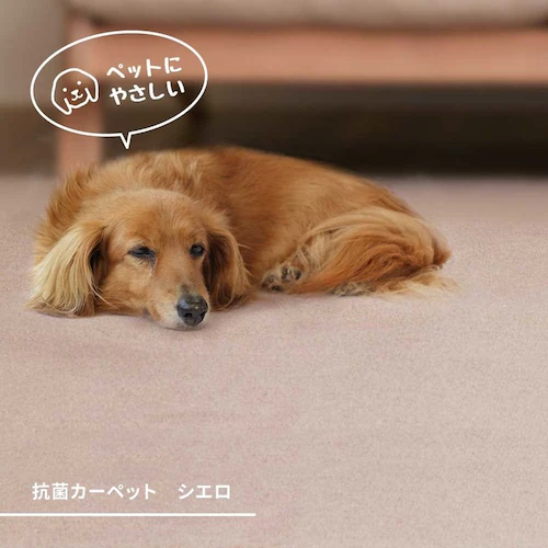 柔らかパイルの抗菌カーペット シエロ 江戸間8畳 600094580 ブラウン【時間指定不可】【代引不可】【同梱不可】【プラザセレクト】_2