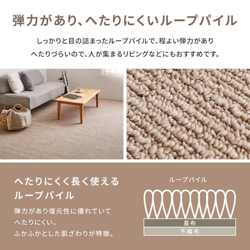 ペットにやさしい抗菌カーペット ステラ 江戸間6畳 600094360 グレー【時間指定不可】【代引不可】【同梱不可】【プラザセレクト】_7