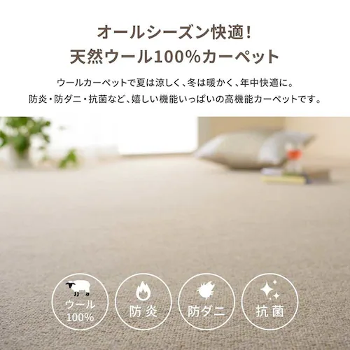 天然ウール100%の防炎カーペットカーペット オペラ 江戸間 10畳 600023590 ベージュ【時間指定不可】【代引不可】【同梱不可】【プラザセレクト】_6