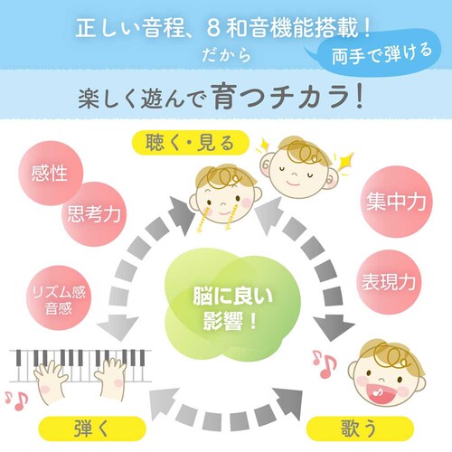 ���[���� �O�����h�s�A�m �y�v���U�Z���N�g�z_5