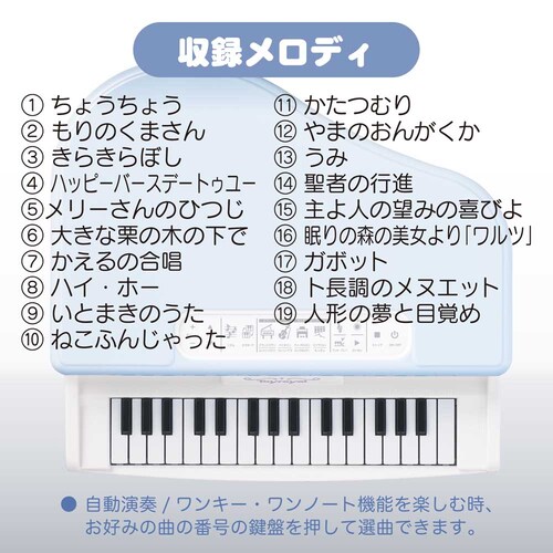 ���[���� �O�����h�s�A�m �y�v���U�Z���N�g�z_6