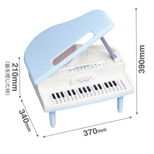 ���[���� �O�����h�s�A�m �y�v���U�Z���N�g�z_9