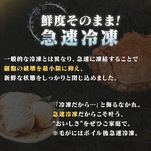 y17OFFIzтɥقĥZbg_4