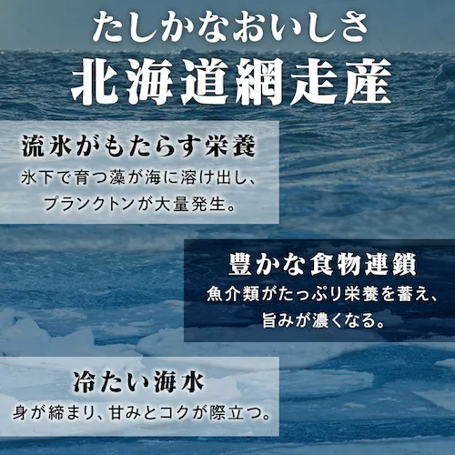 y17OFFIzтɥقĥZbg_5