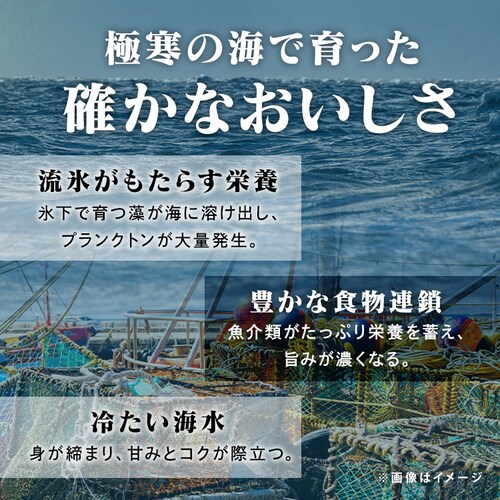 y24OFFIz|I (킢ɥ΂) n[t|[V_5