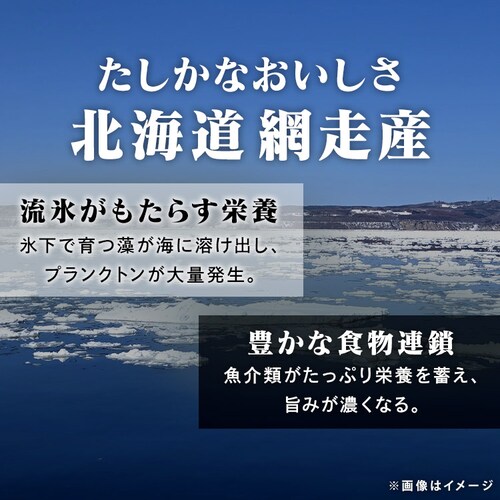 y23OFFN[|zݖ 300g_4