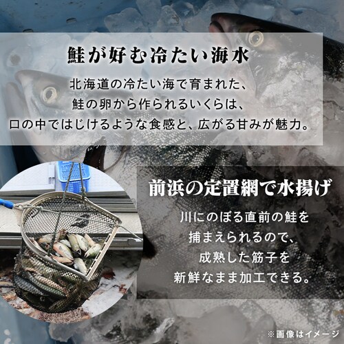 y23OFFN[|zݖ 300g_5