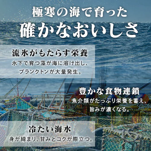 y20OFFIzɓZbg (΂ɥ킢)_3