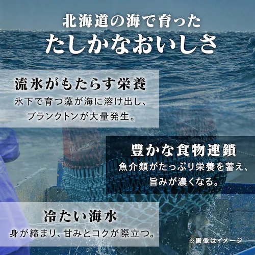 【22%OFF!】「神の魚」 熟成新巻鮭 半身 900g (9〜12切れ)_5