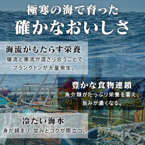 【10%OFF!】ボイルずわい・生ずわい食べ比べセット お刺身OK_5