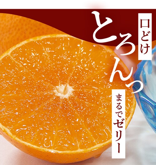 y13OFFN[|zQY g܂ǂ BENI-F0_2