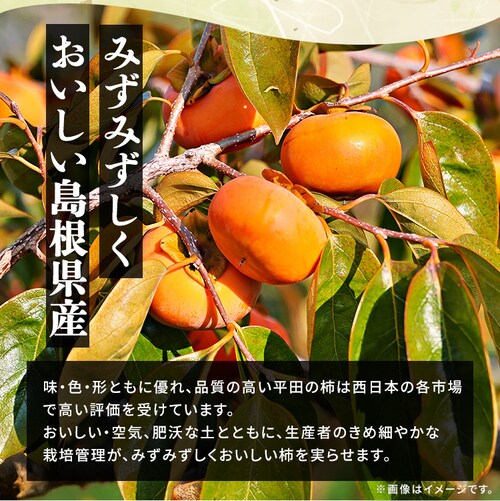 y12OFFN[|zЂ炽̕xL` 12 () FYK-C6S_4