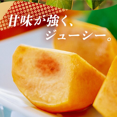 y12OFFN[|zЂ炽̕xL` 12 () FYK-C6S_5