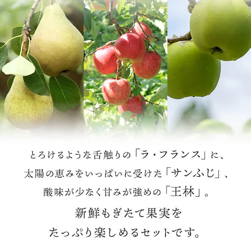 【4%OFF!】ラ・フランス・サンふじ・王林セット L4F4O3_2