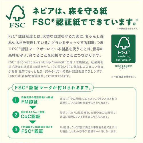 8�z���q�l�s�A �l�s�A�g�C���b�g���[�� 1.5�{�� 8R ��109mm 541422 �V���O�� 82.5m�y�v���U�Z���N�g�z_10