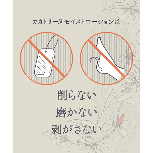 ������ЃW�F�C�E�E�H�[�J�[ �J�J�g���|�k ���C�X�g���[�V���� �d�w kakatorine-ex �y�v���U�Z���N�g�z_5