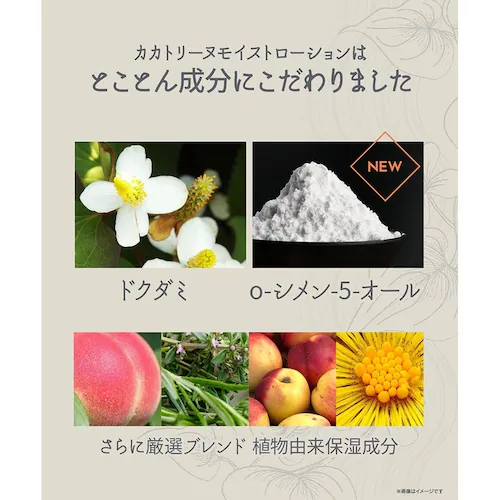 ������ЃW�F�C�E�E�H�[�J�[ �J�J�g���|�k ���C�X�g���[�V���� �d�w kakatorine-ex �y�v���U�Z���N�g�z_8