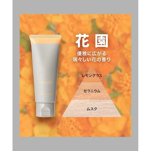 ������ЃW�F�C�E�E�H�[�J�[ �s�J���C �o�[�j�b�V���N���C�p�b�N picalay-bpk-h �ԉ��y�v���U�Z���N�g�z_7