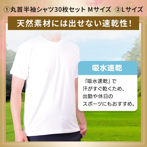 �y2026���܁z�l�߂�����ƁI�ێ񔼑��V���c30���Z�b�g L�T�C�Y_4