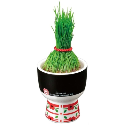 �ł��č͔|�L�b�g KOKESHI GD-104801 ������ځy�v���U�Z���N�g�z_6