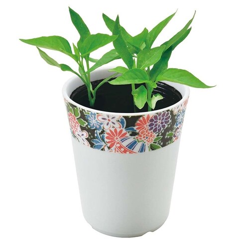 �a�S�� GD-104901 �����y�v���U�Z���N�g�z_4