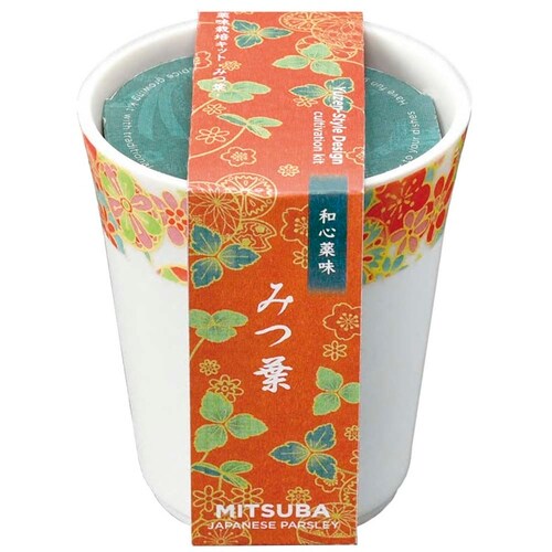 �y3��Z�b�g�z�a�S�� �y�v���U�Z���N�g�z_7