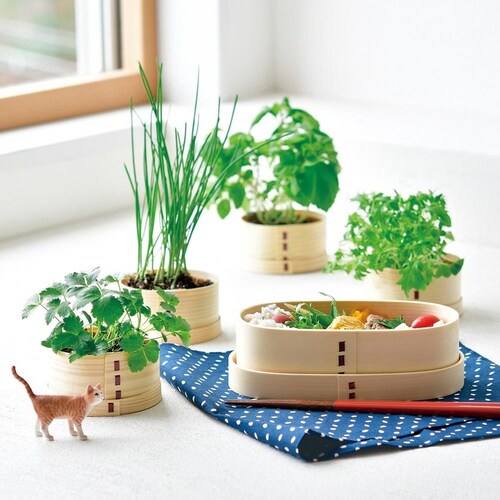 �L�x�m����� GD-105001 �~�c�o�y�v���U�Z���N�g�z_2