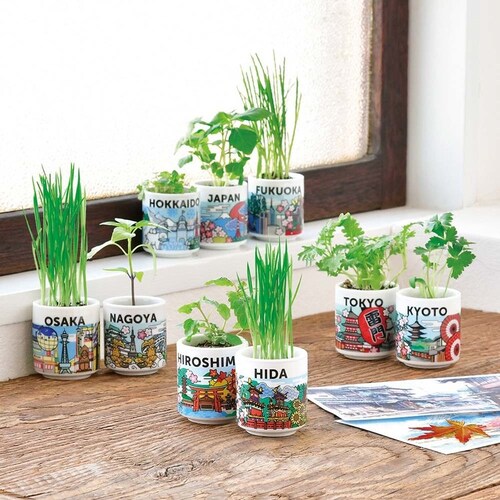 �y2��Z�b�g�z����ł������傱JAPAN �y�v���U�Z���N�g�z_5