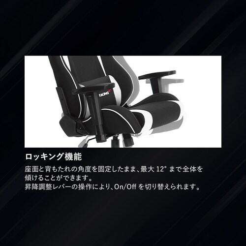 AKRacing �G�[�P�[���[�V���O �Q�[�~���O�`�F�A AKR-WOLF �p�[�v��_6