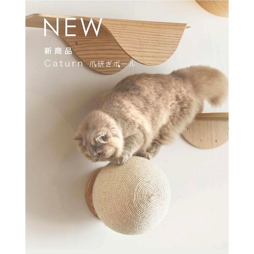 CATURN N18 �L���^�[���܌����{�[�� MZ0001 �y�v���U�Z���N�g�z_2