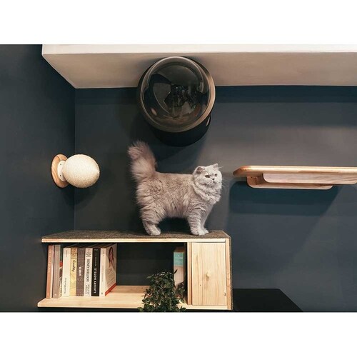 CATURN N18 �L���^�[���܌����{�[�� MZ0001 �y�v���U�Z���N�g�z_5