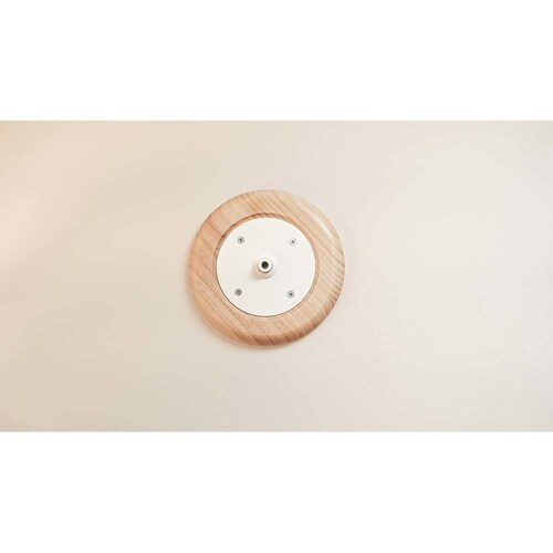 CATURN N18 �L���^�[���܌����{�[�� MZ0001 �y�v���U�Z���N�g�z_10